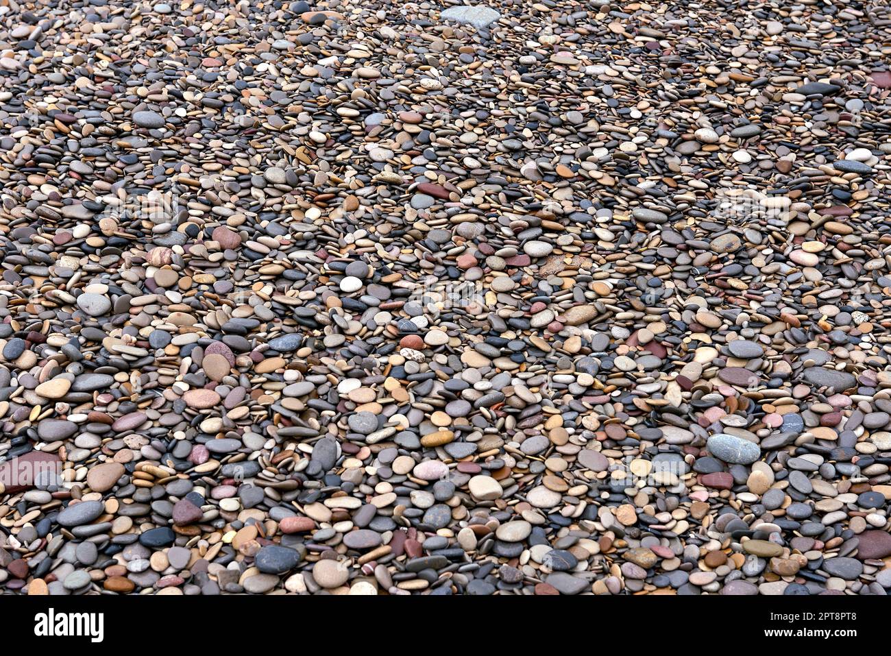 Background of small stones from the beach. Front view, round stones of ...
