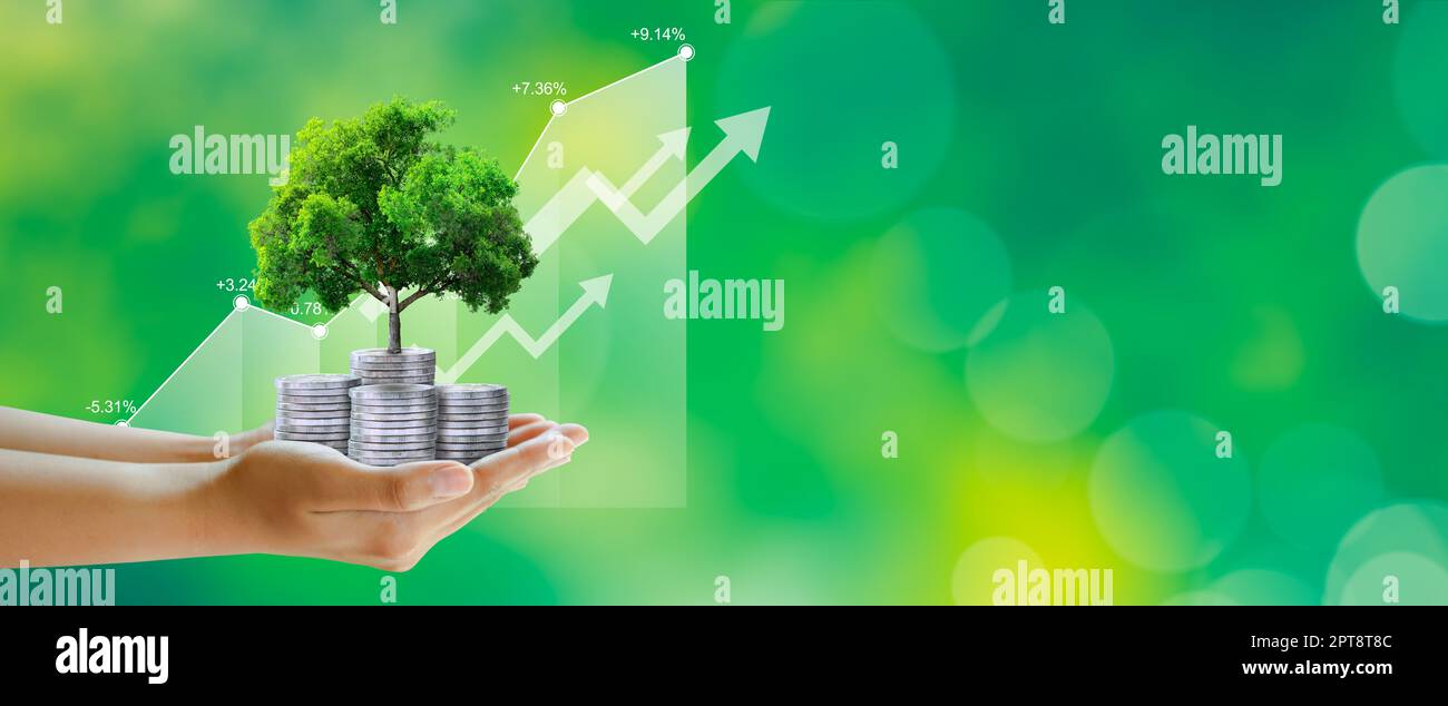 Hand holding Growing tree on coins with stock graph over Green ...