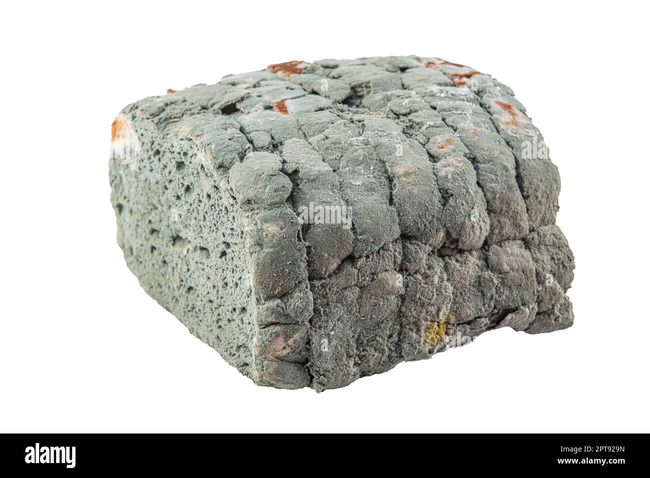 moldy bread white background, Moldy bread, expired can not eat any more