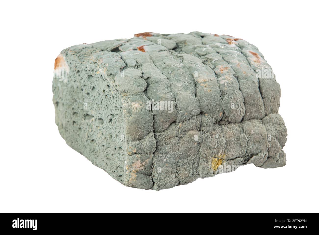 moldy bread white background, Moldy bread, expired can not eat any more