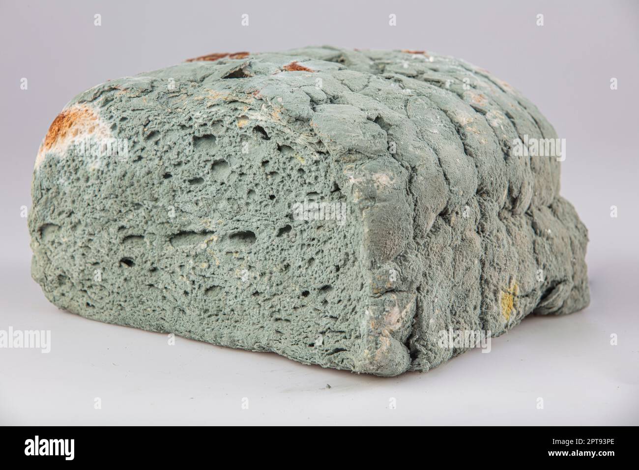moldy bread white background, Moldy bread, expired can not eat any more