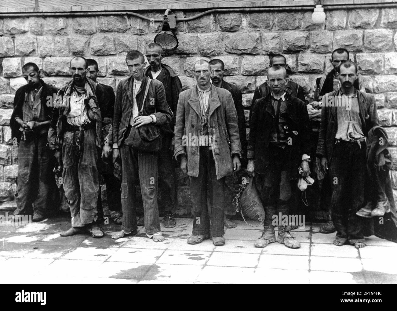 New arrivals to Mauthausen concentration camp standing against a wall. They survived weeklong trip in open railway cars. Stock Photo