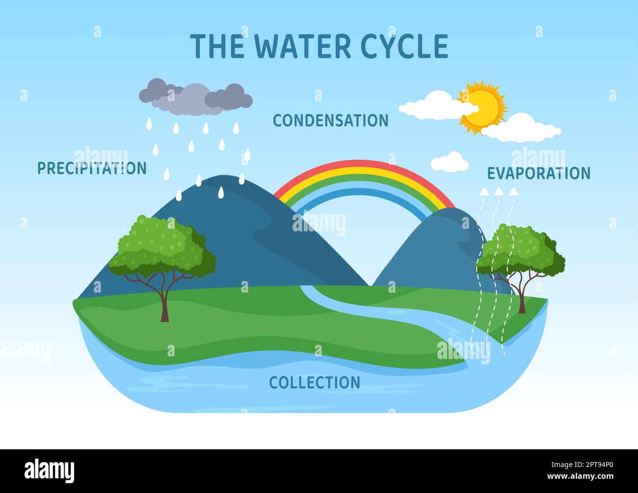 Water Cycle of Evaporation, Condensation, Precipitation to Collection