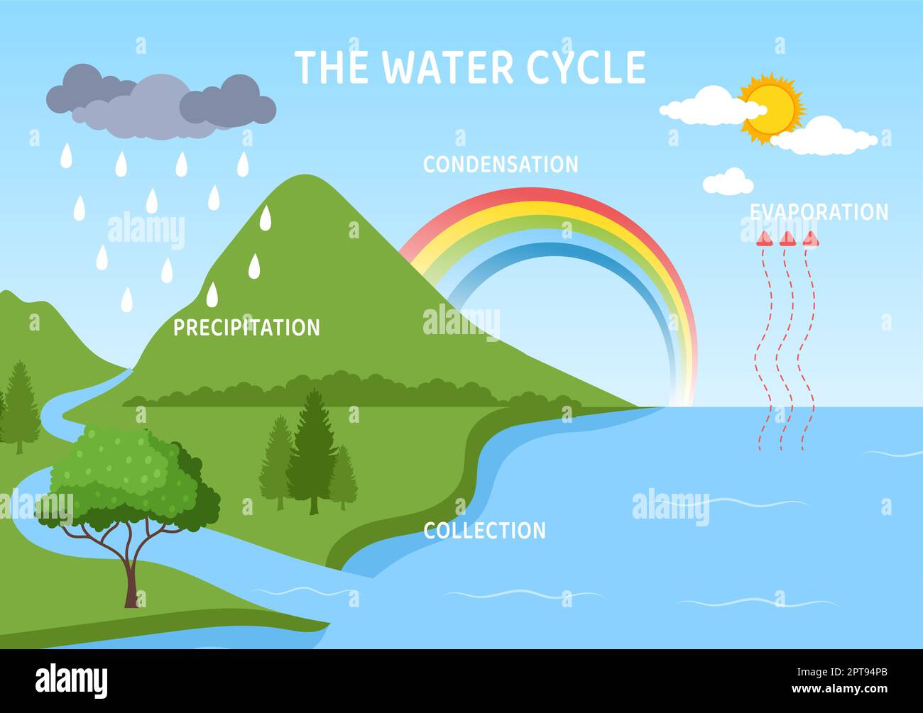 Water Cycle of Evaporation, Condensation, Precipitation to Collection in  Earth natural environment on Flat Cartoon Hand Drawn Template Illustration  Stock Photo - Alamy
