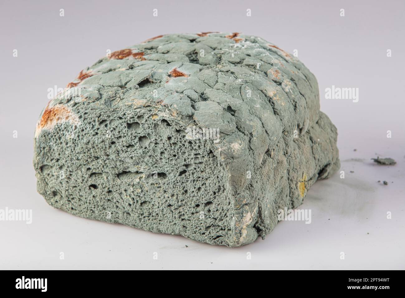 moldy bread white background, Moldy bread, expired can not eat any more