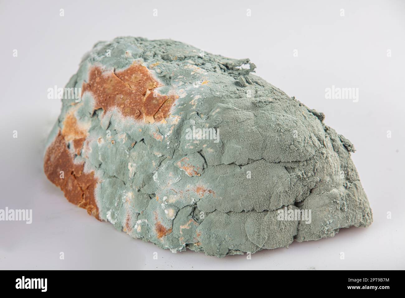 moldy bread white background, Moldy bread, expired can not eat any more
