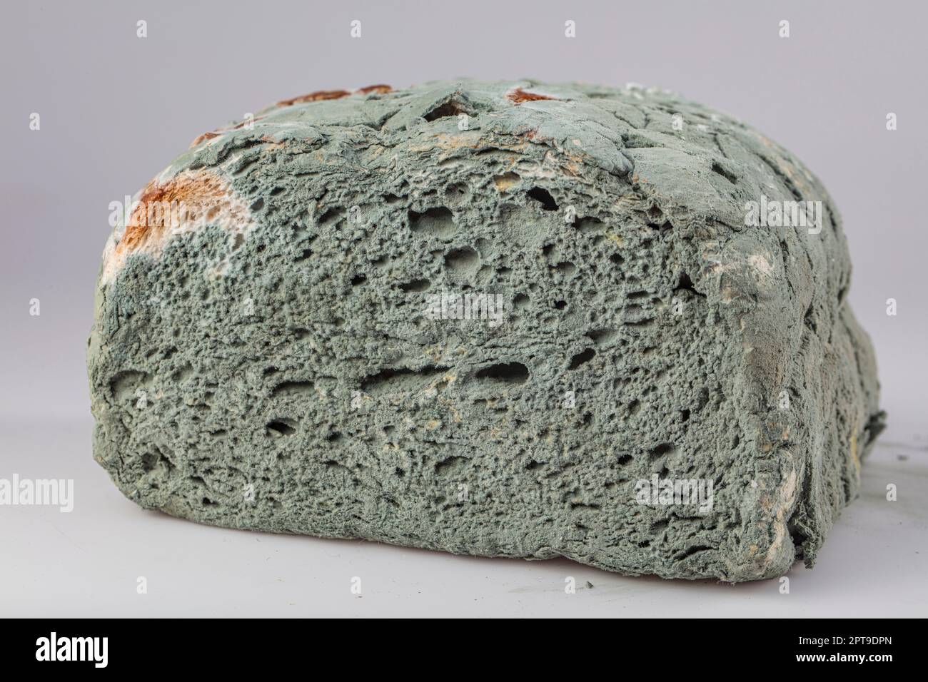 moldy bread white background, Moldy bread, expired can not eat any more