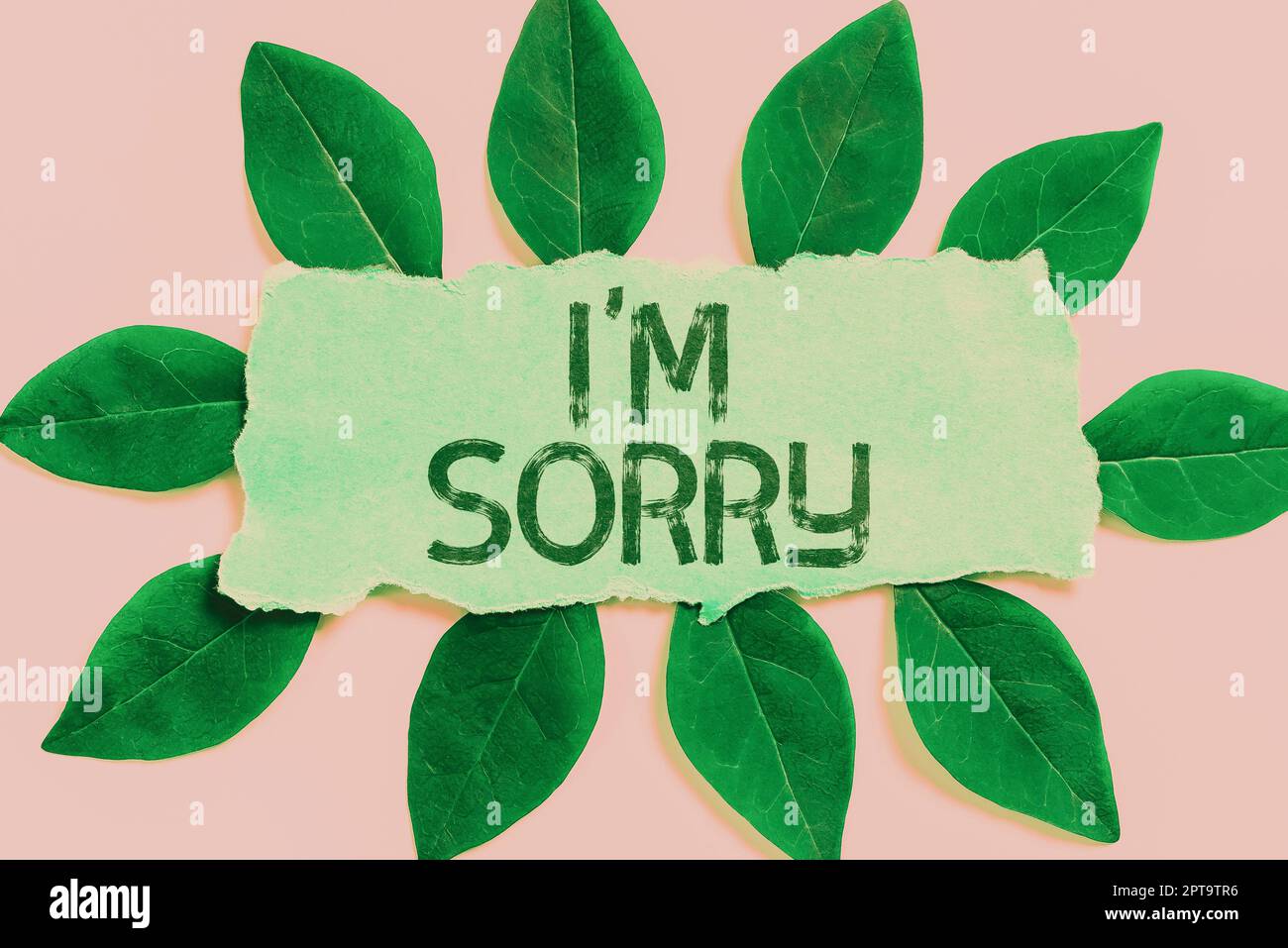 Conceptual display I Am Sorry, Word Written on Toask for forgiveness to someone you unintensionaly hurt Stock Photo