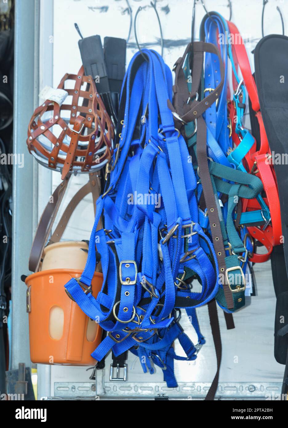 Horse riding equipment Stock Photo - Alamy