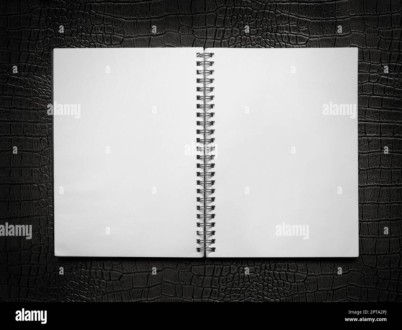 blank spiral notebook on a black leather background Stock Photo