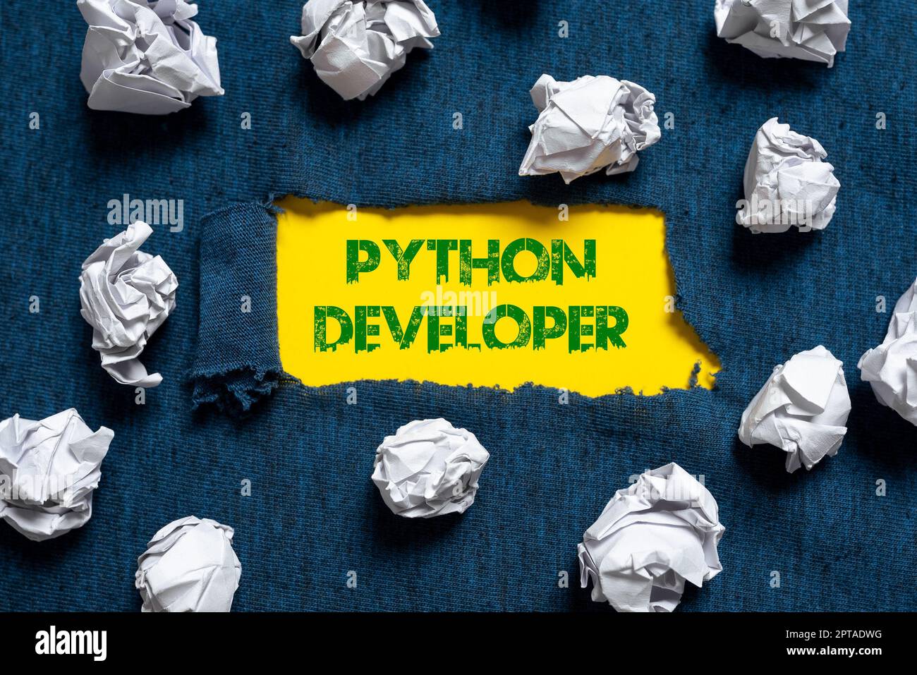 Conceptual caption Python Developer, Word for employees are rewarded for introducing suitable recruits Stock Photo