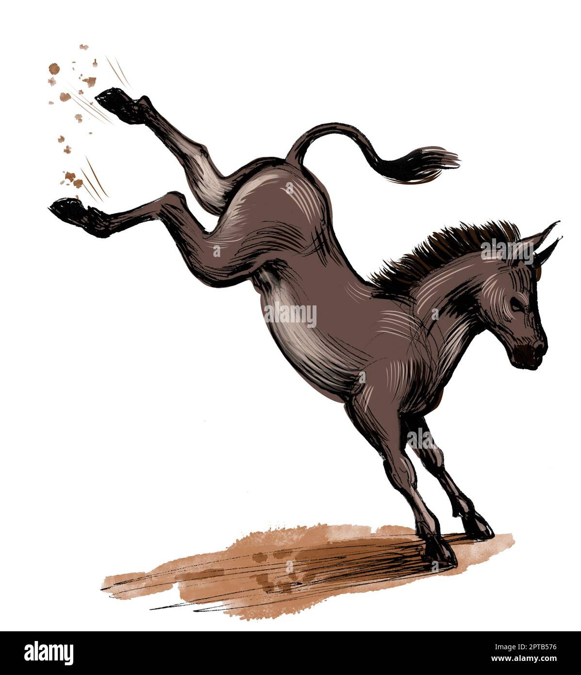 Kicking donkey. Hand drawn ink on paper and digitally colored on tablet sketch Stock Photo