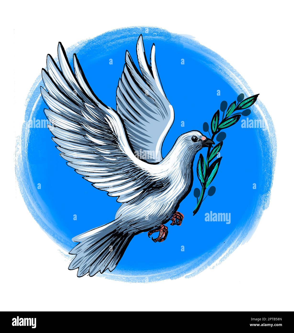 Flying white dove with olive branch. Hand drawn ink on paper and