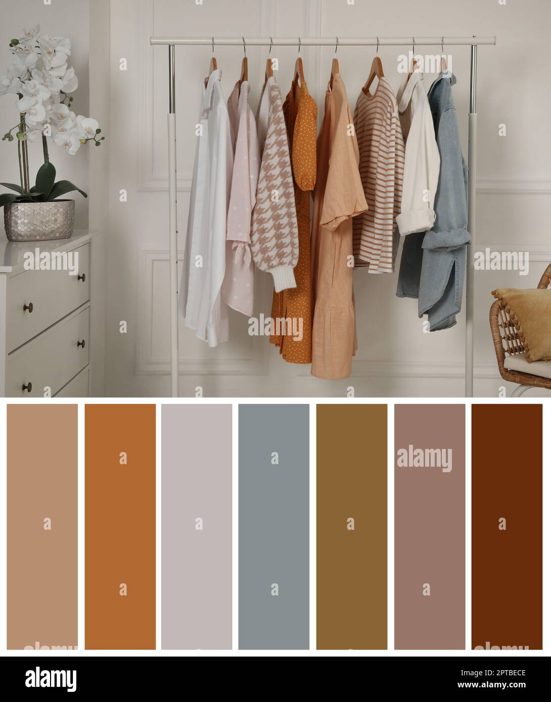 Color palette appropriate to photo of stylish women's clothes on rack ...