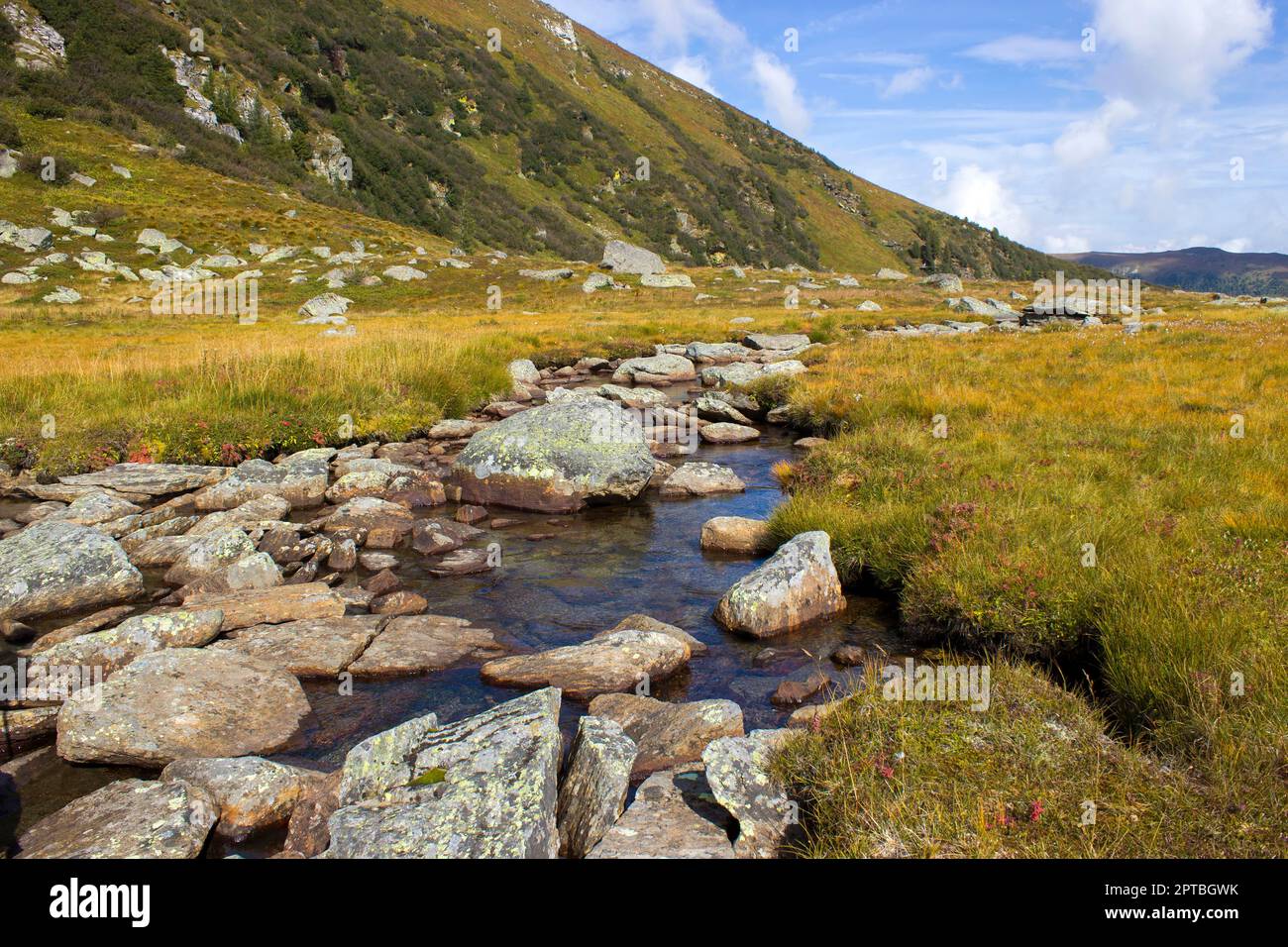 A clear mountain stream on the green meadows in the Austrian Alps ...