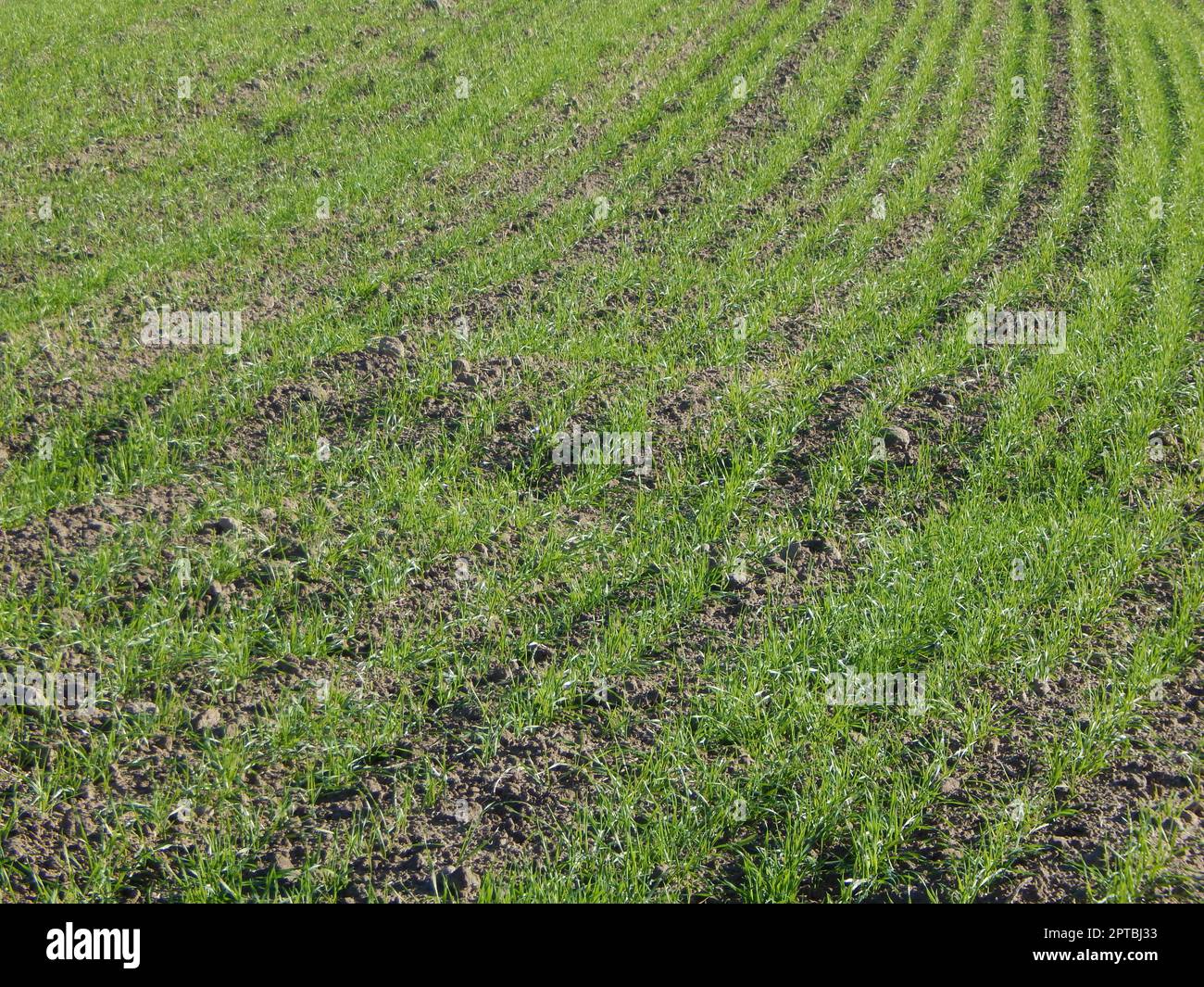 Tractor plowed field and arable land Stock Photo - Alamy