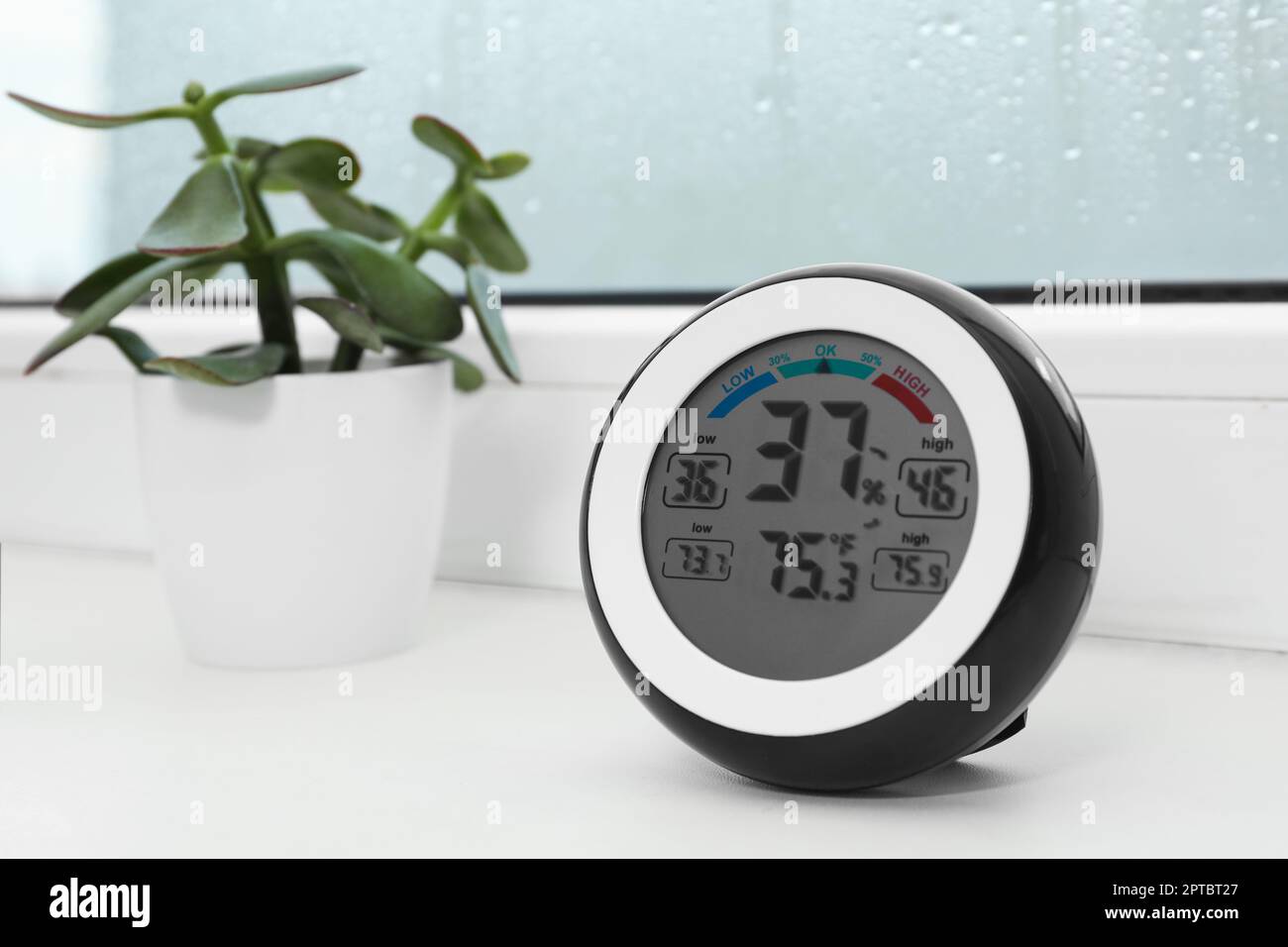 Digital hygrometer with thermometer and green plant on sill near window