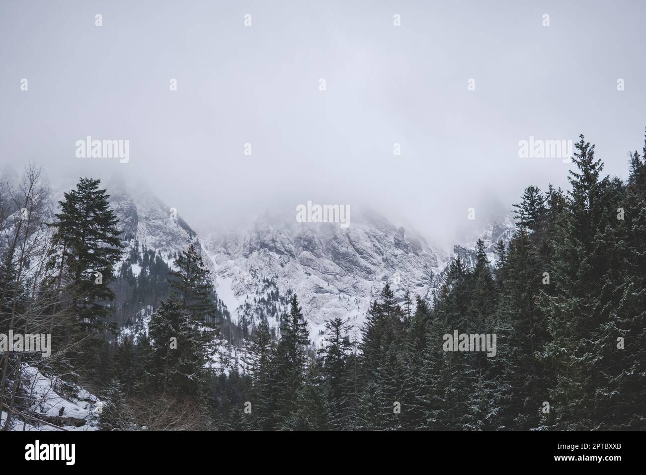 Tatra Mountains covered in clouds during winter season Stock Photo - Alamy