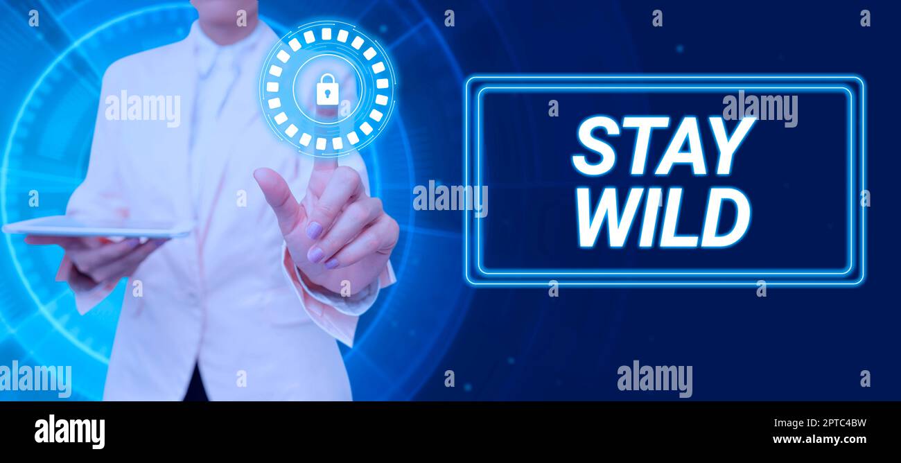 Text sign showing Stay Wild, Concept meaning Disease awareness campaign fighting to lessen the COVID19 cases Two Heads With Cogs Showing Technology Id Stock Photo