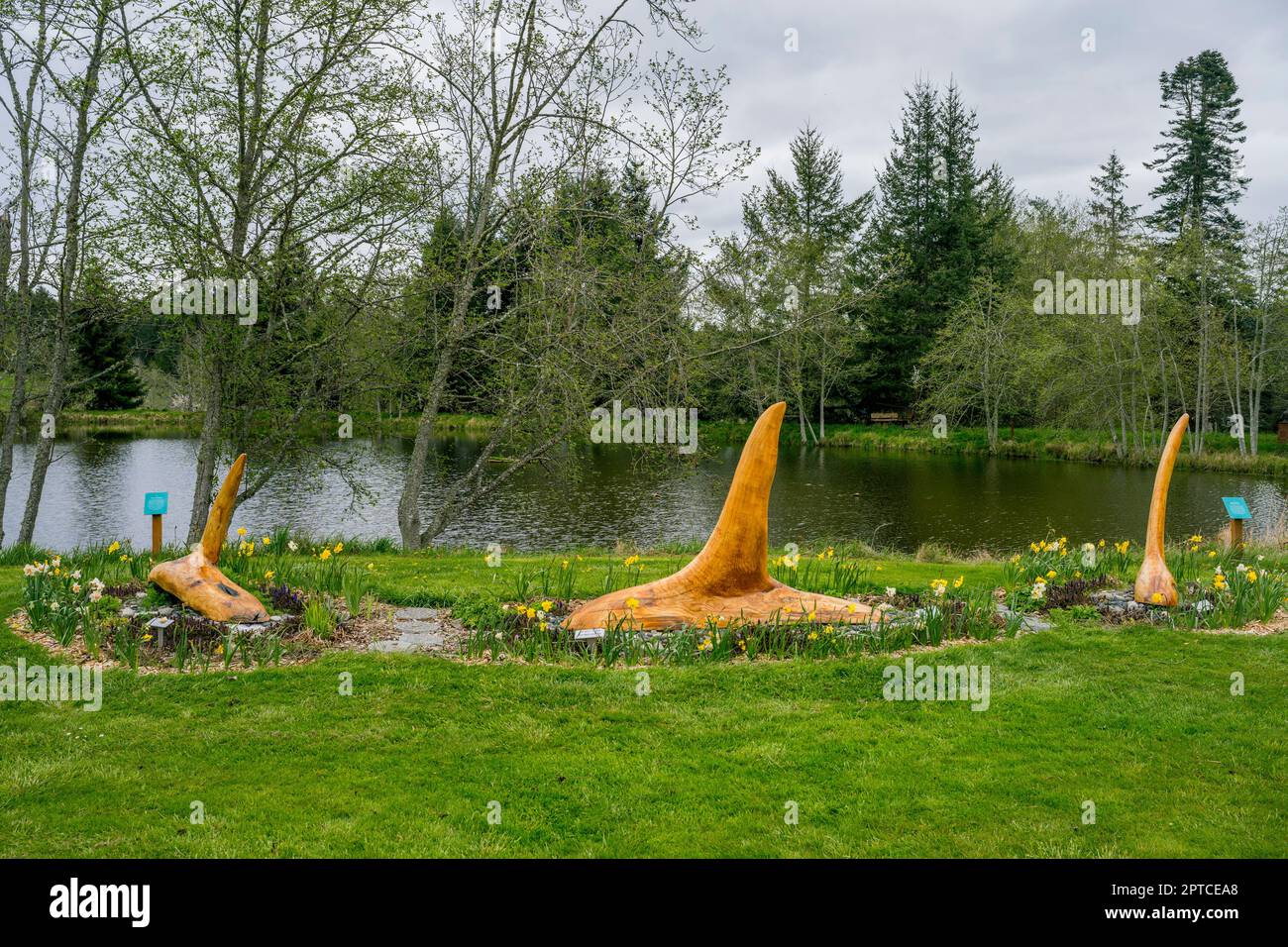 Wooden Orcas at the San Juan Islands Sculpture Park near Roche Harbor