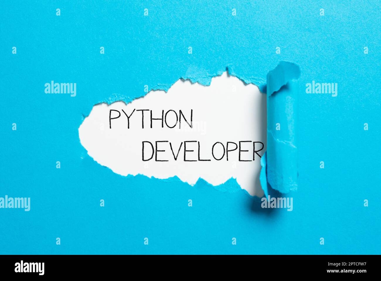 Writing displaying text Python Developer, Word for employees are rewarded for introducing suitable recruits Stock Photo