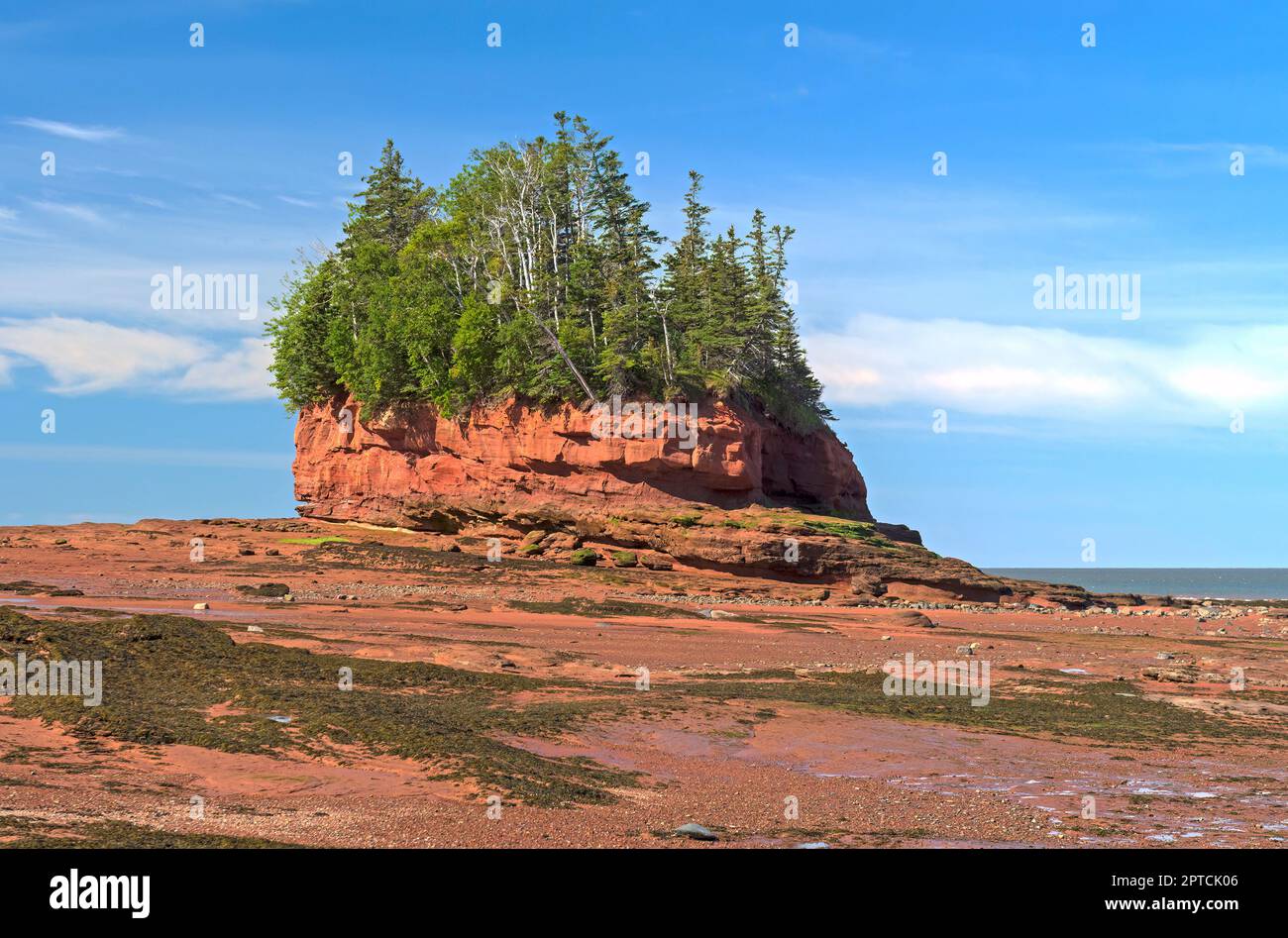 Island HIgh Above the Low Tide at Burntcoat Head in the Bay of Fundy in Nova Scotia Stock Photo