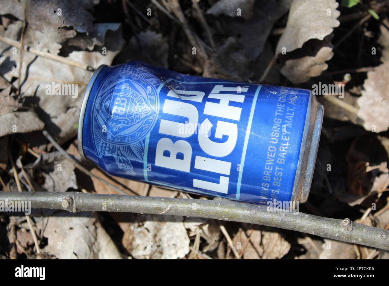 Dented Bud Light beer can on top of dead leaves at Algonquin Woods in Des Plaines, Illinois Stock Photo