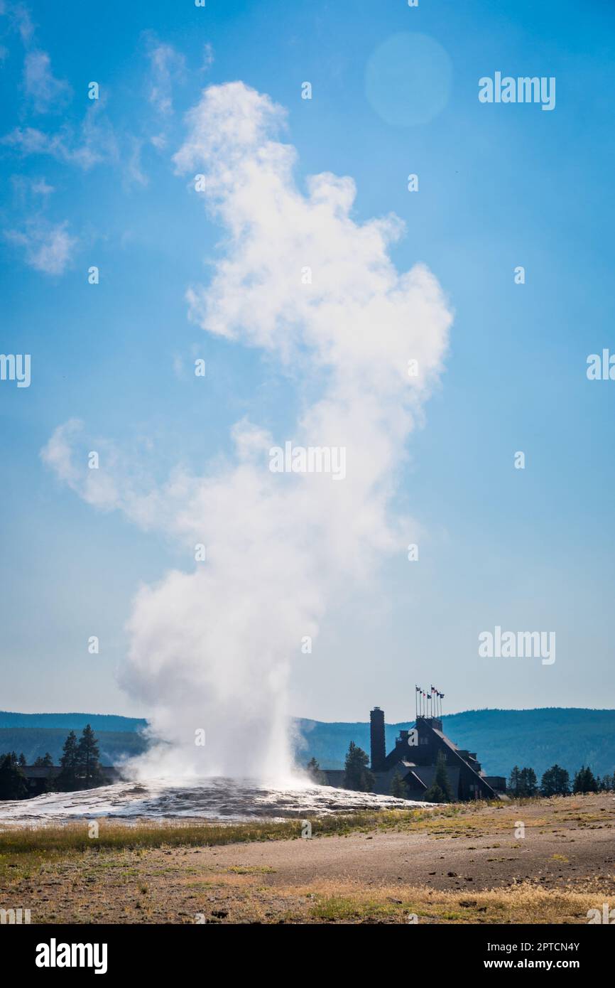 Old Faithful Geyser Erupting at Yellowstone National Park Stock Photo ...