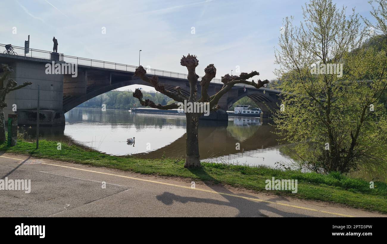 Schweich an der Mosel, a village in Germany, in the background the Moselle Bridge Stock Photo