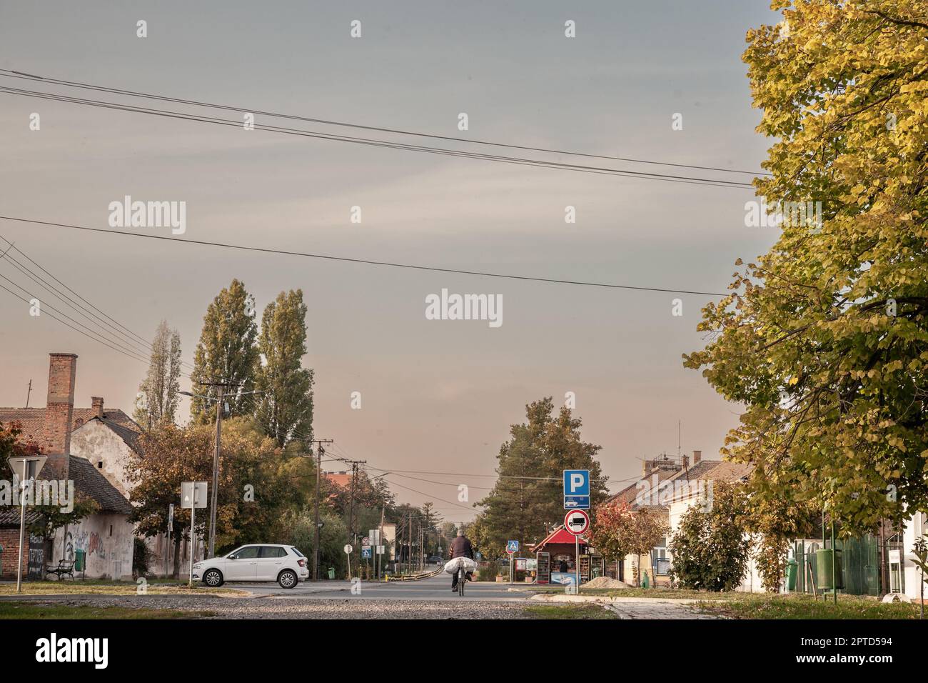 Picture of a old man using a bicycle next to a street in autumn in jabuka, a small typical serbian village in banat, Vojvodina. Stock Photo