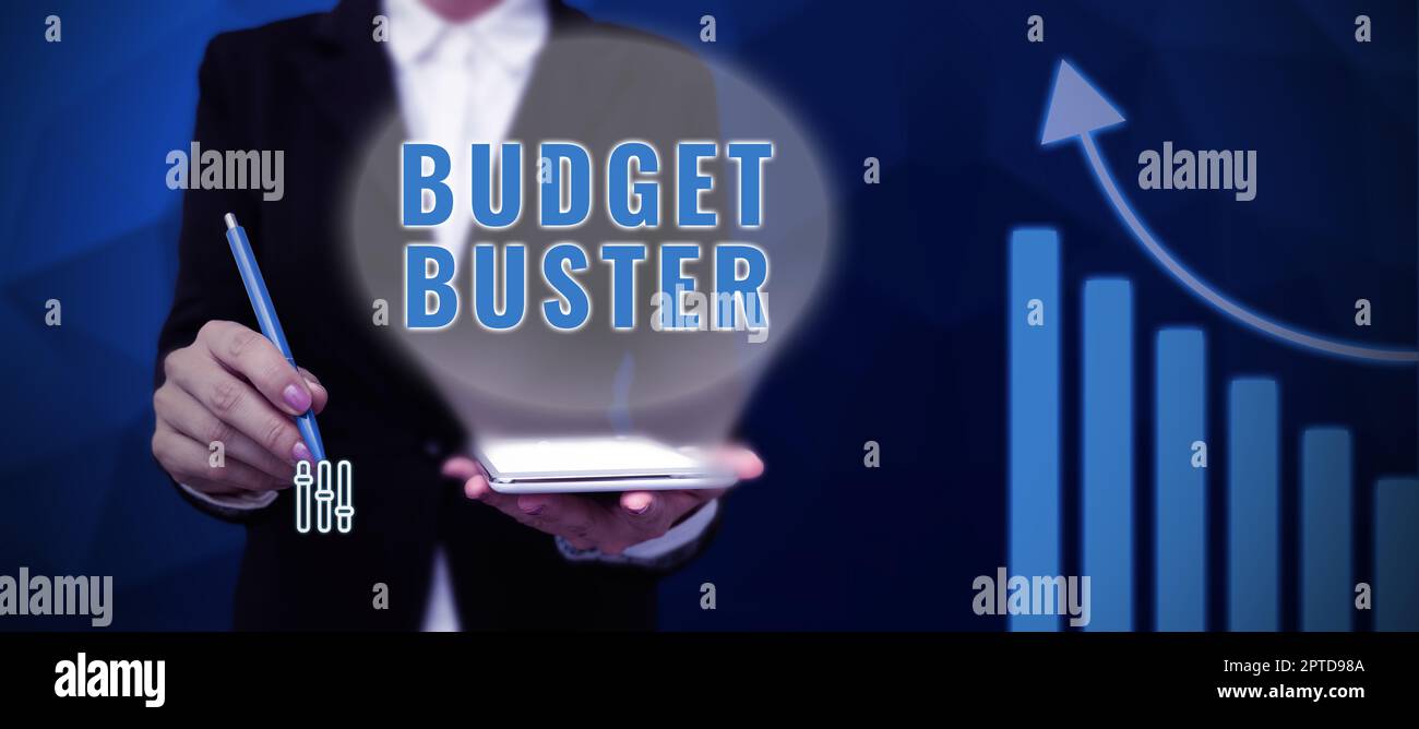 Text sign showing Budget Buster, Word for Carefree Spending Bargains Unnecessary Purchases Overspending Stock Photo