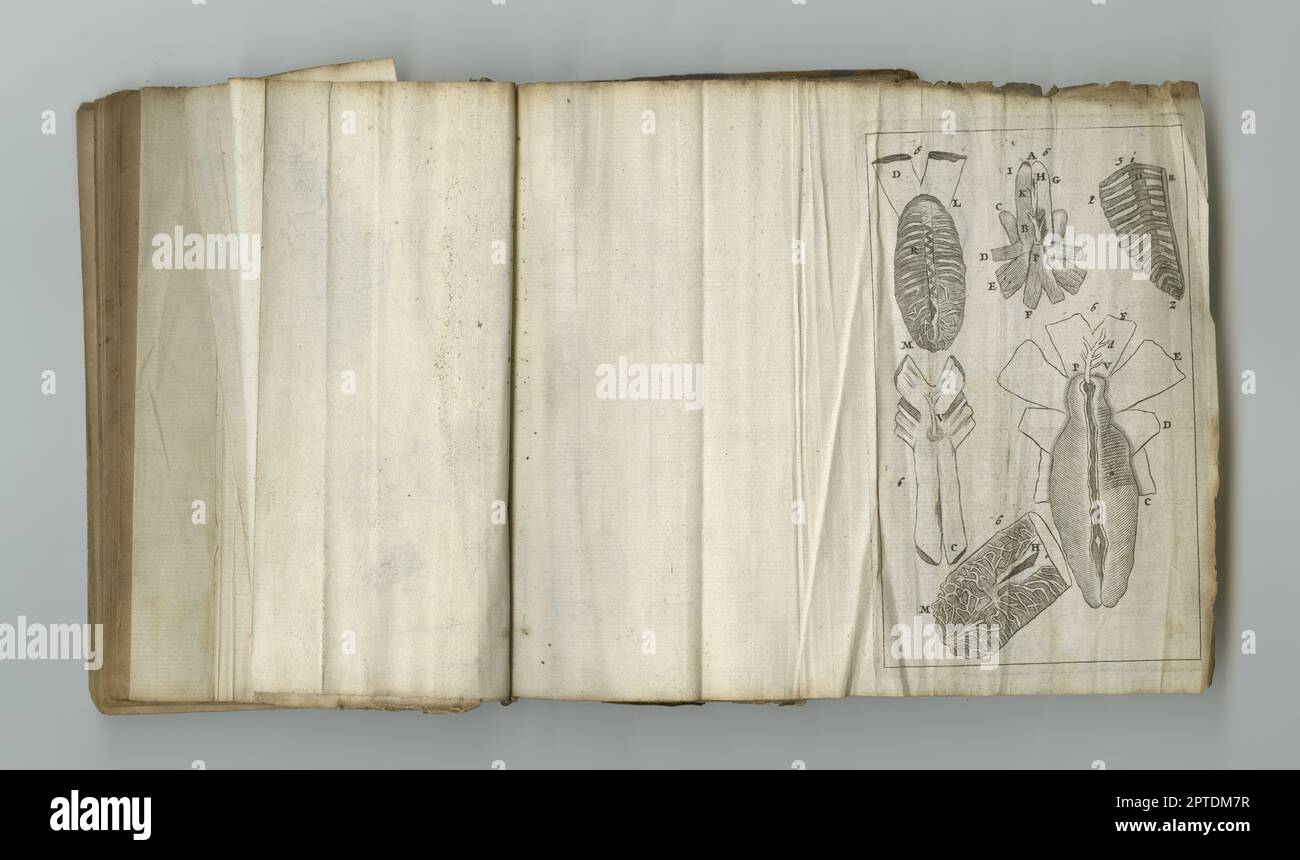 Vintage medical pages. An old medical book with its pages on display