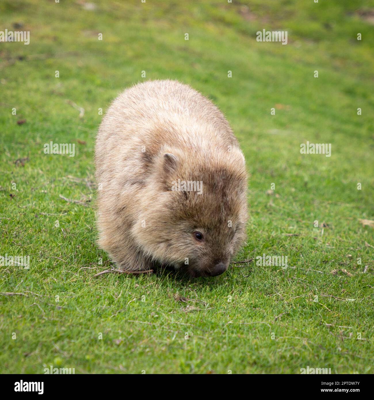 My Image 26