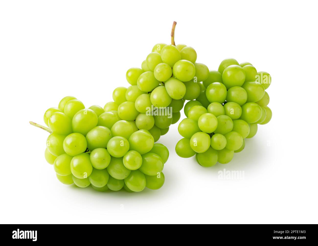 Shine Muscat grapes on a white background. White grapes. Japanese