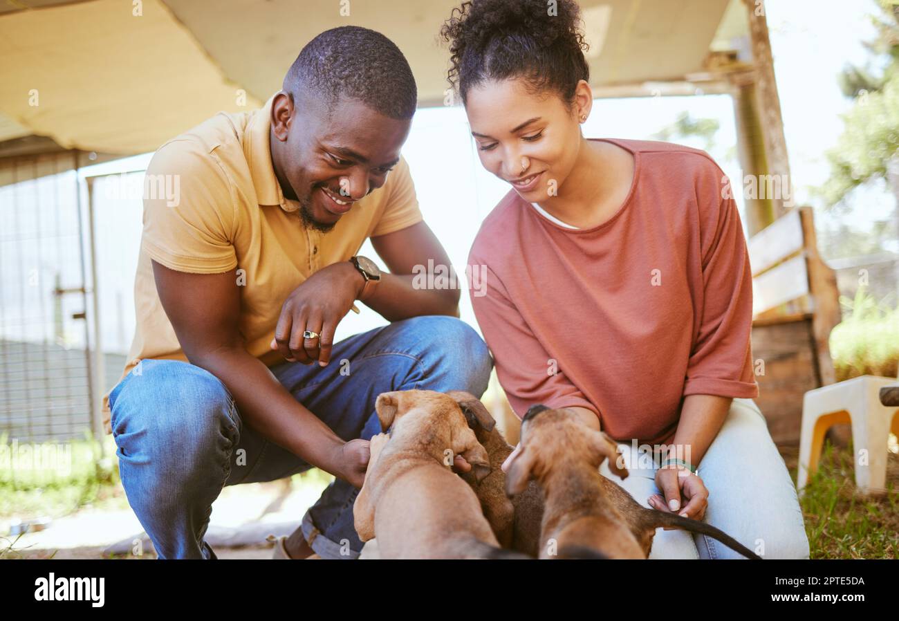 Love, black couple and playing with dogs at animal shelter or kennel. Care, support and happy interracial man and woman bonding with foster puppies an Stock Photo