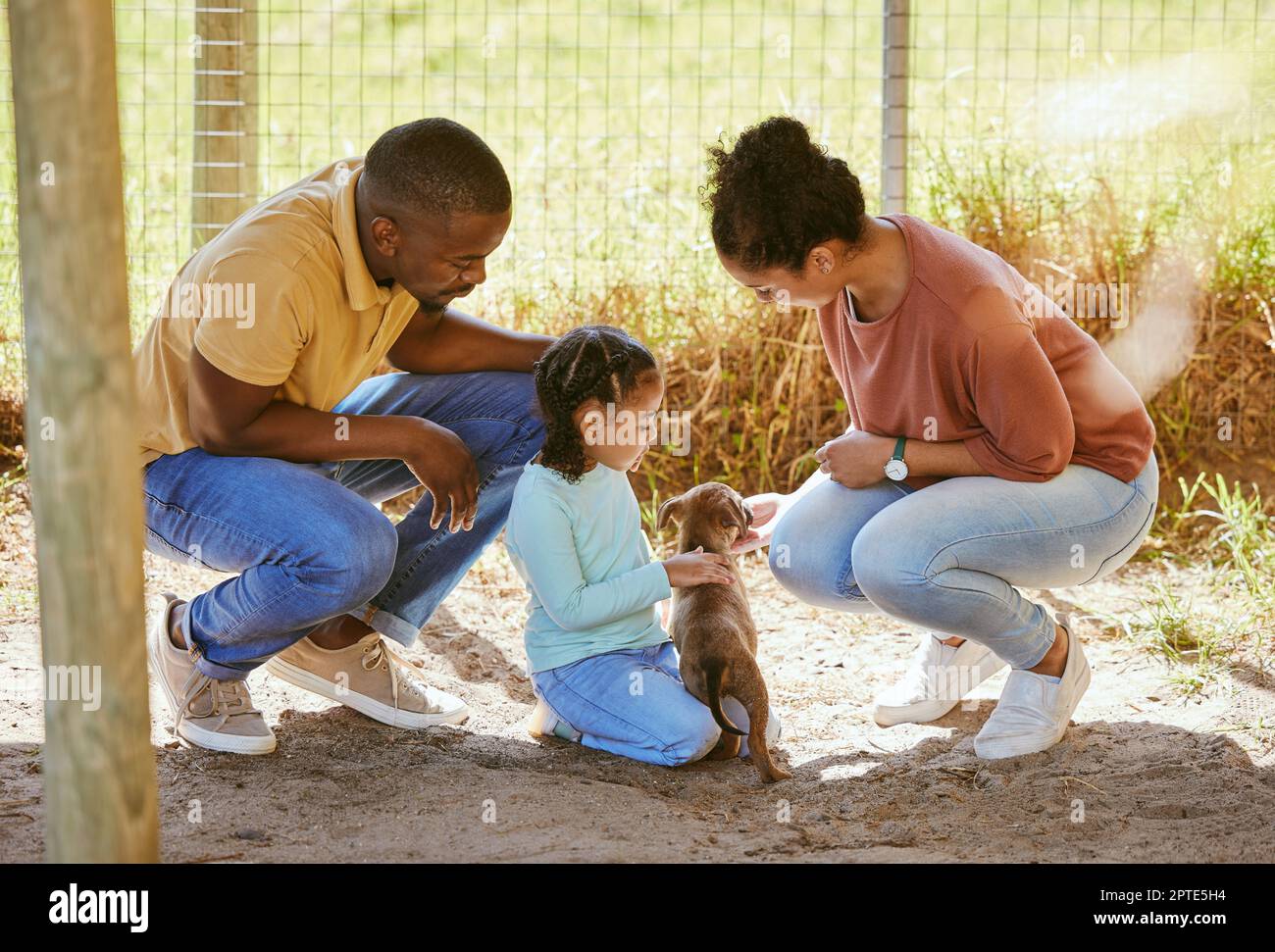 Love, black family and dog adoption at animal shelter, kennel or house. Care, support and choice of caring family choosing puppy to take home or foste Stock Photo