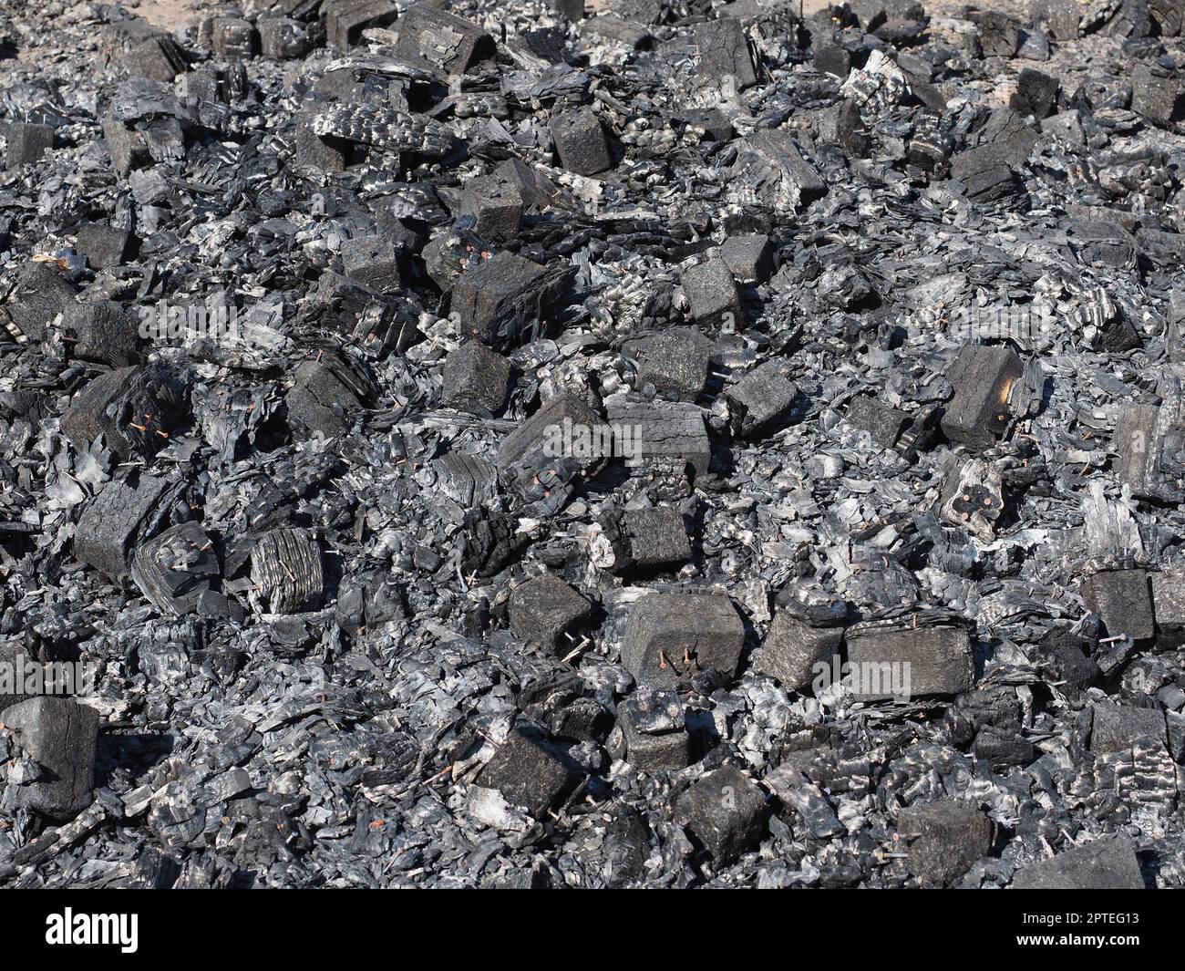 Soil texture, dry branches and ashes in rural area Real del Alamito in  Sonora, Mexico  Photo: (Photo by Luis Gutierrez / Norte Photo)  dry,  dry Stock Photo - Alamy