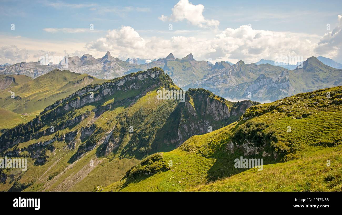 suche arbeit schweiz
