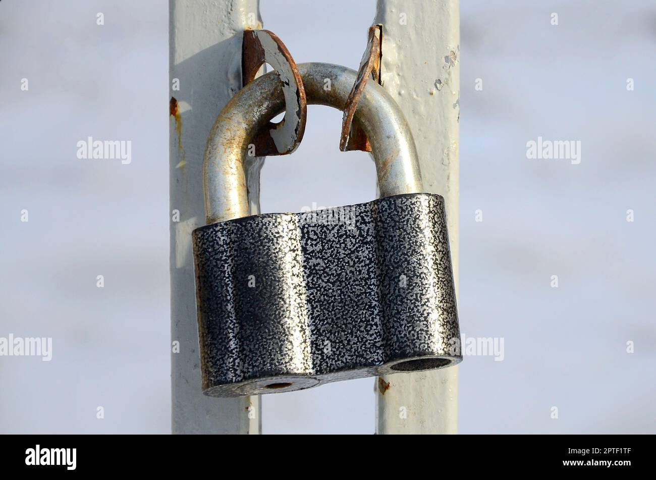 A large gray padlock hangs on a metal gate Stock Photo