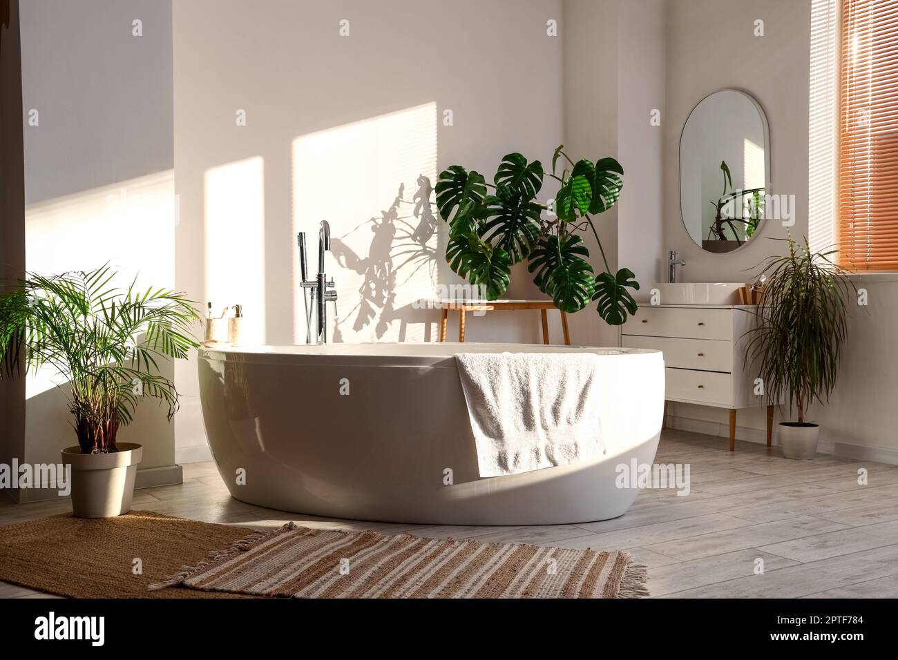 Interior of light bathroom with bathtub and Monstera houseplant Stock Photo  - Alamy