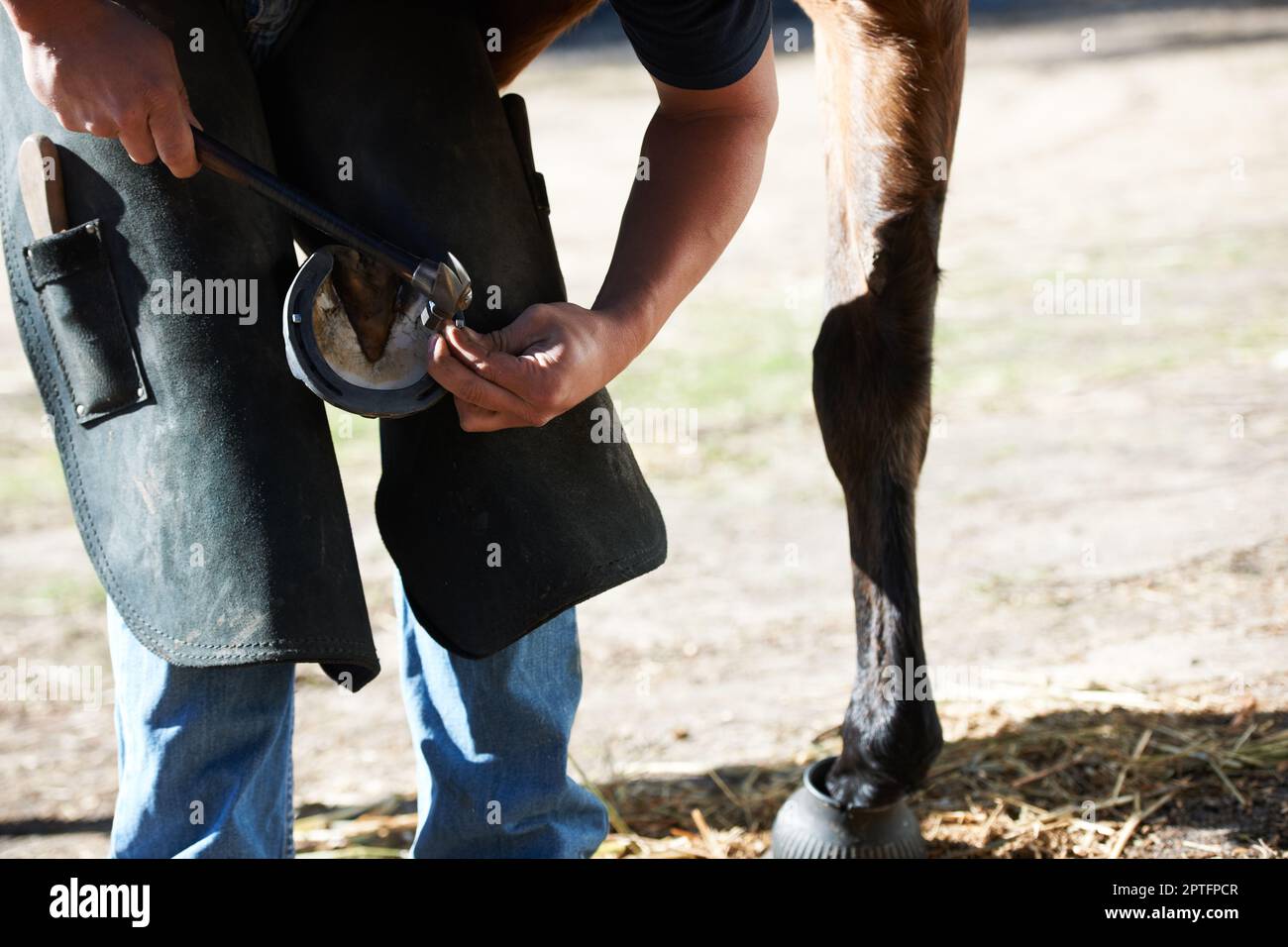 He takes great care when dealing with the horse. A farrier attaching a