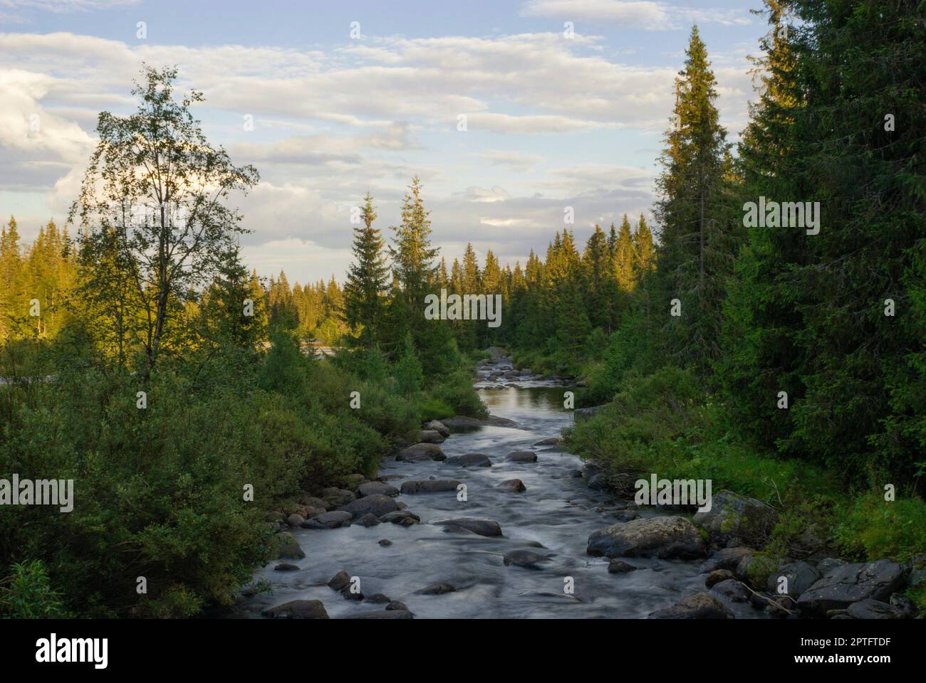 View over a small river in the evening in the Norwegian Gausdal valley Stock Photo