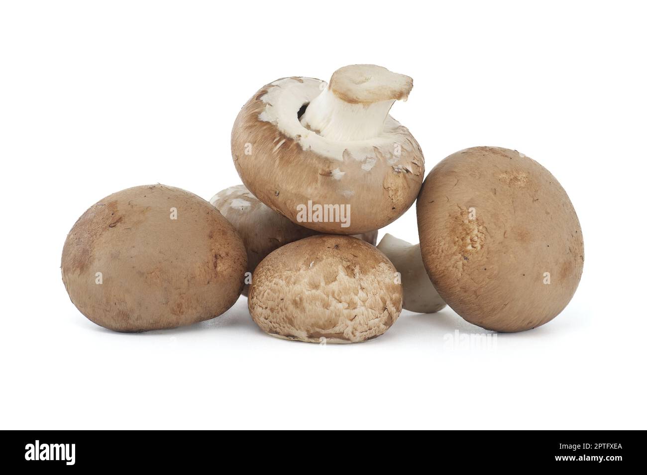 Fresh Baby Bella or Cremini whole mushrooms isolated on white