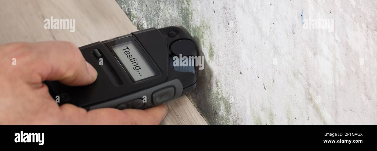 Mold Tester And Spores Test In House. Measure Wet Wall Stock Photo Alamy