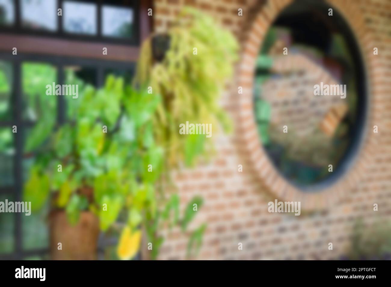 Air purifying plants hi-res stock photography and images - Alamy