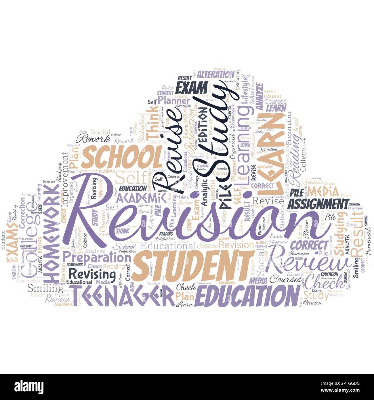 word cloud in the shape of cloud with word revision. Action over