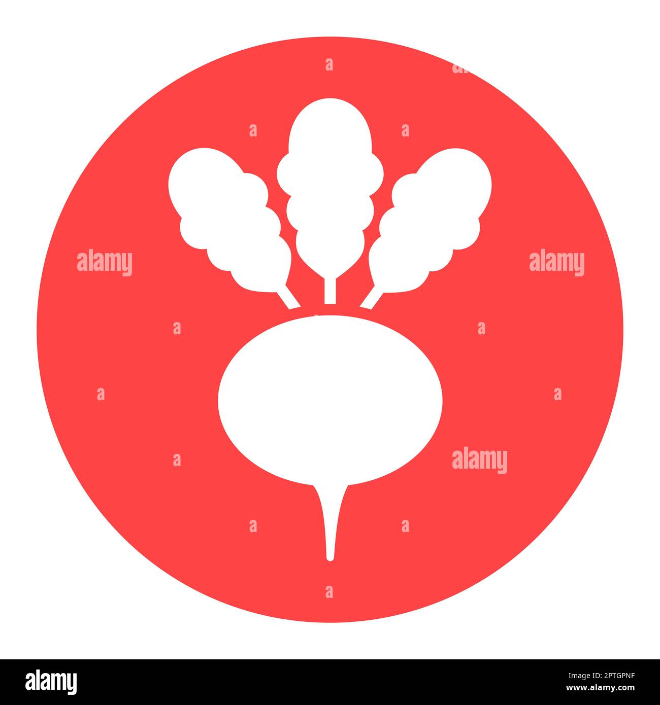 Turnip isolated design vector glyph icon. Vegetable sign. Graph symbol ...