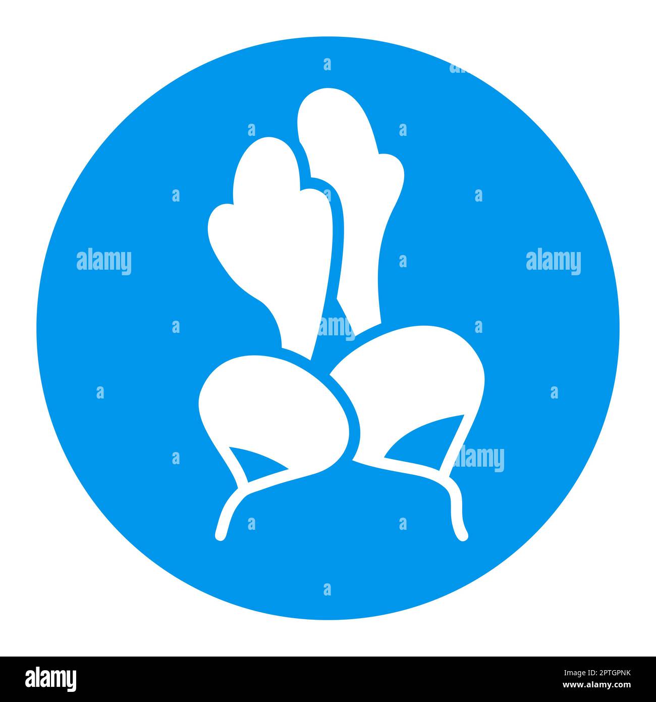 Radish isolated design vector glyph icon. Vegetable sign. Graph symbol ...