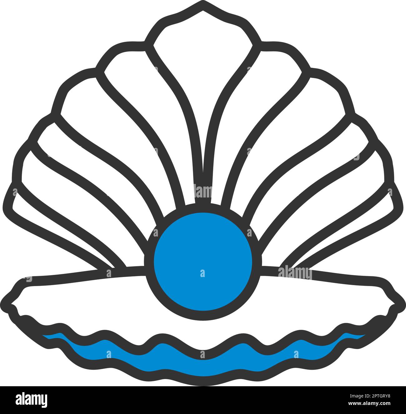 Seashell Vector Art, Icons, and Graphics for Free Download