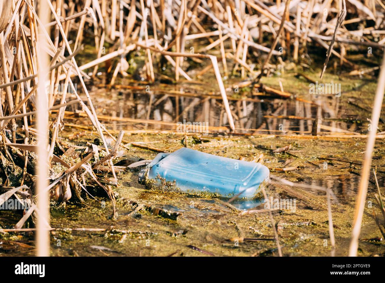 Old Plastic Canister Floats In Water Of Swamp Or Pond. Used Empty